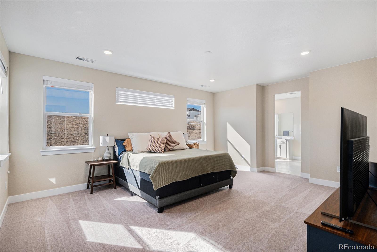 MLS Image #22 for 5381  hickory oaks trail,castle rock, Colorado
