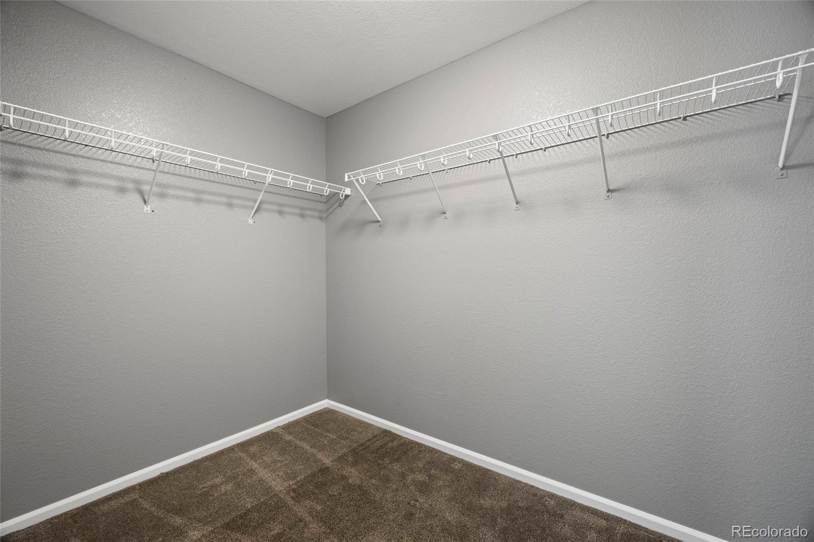 MLS Image #13 for 6458  trappers trail avenue,parker, Colorado