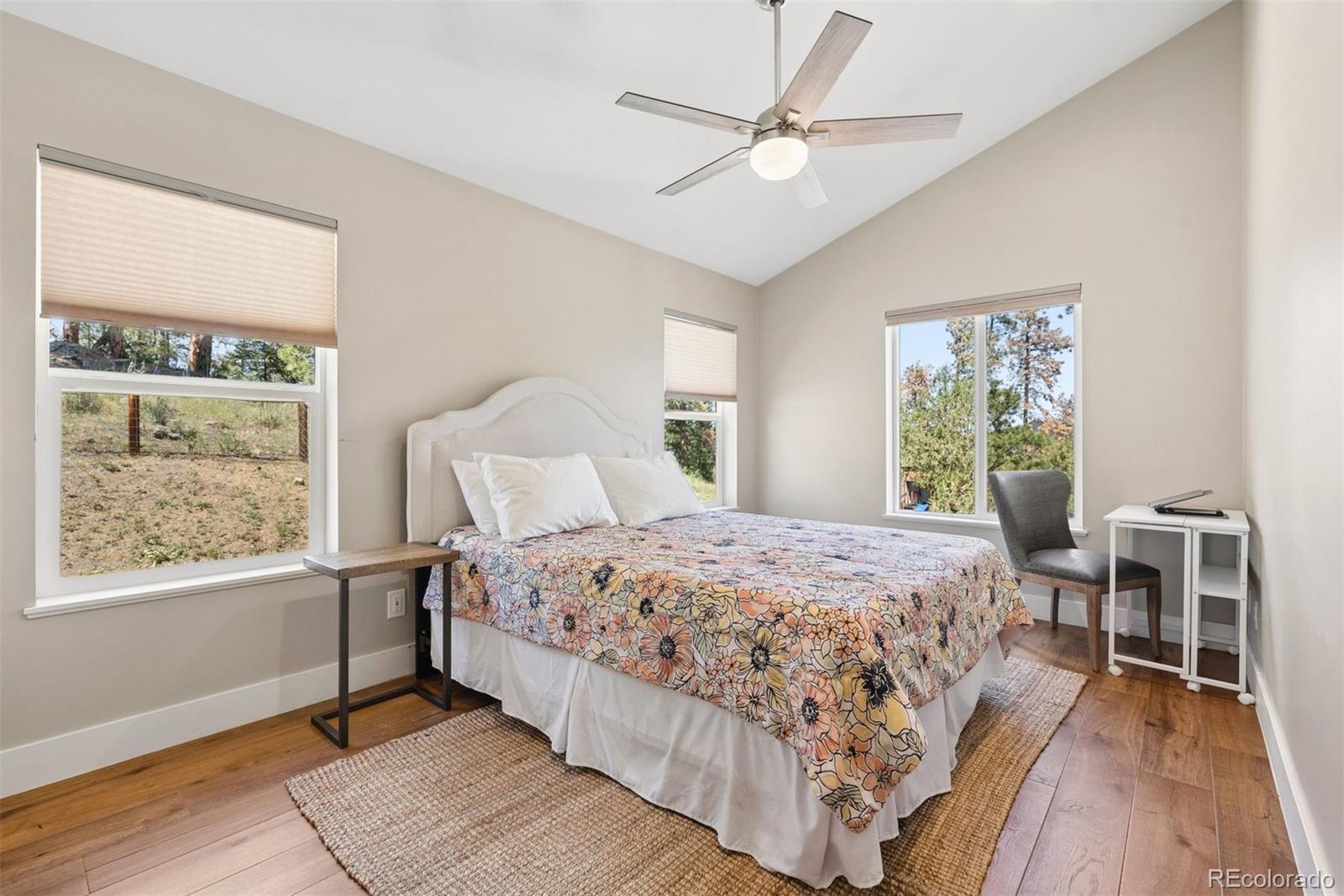 MLS Image #16 for 30319  lone spruce road,evergreen, Colorado