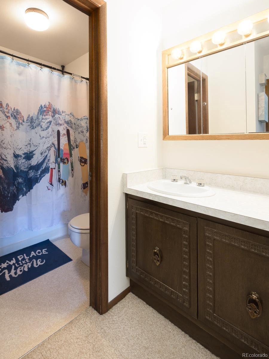 MLS Image #10 for 130  evergreen road,dillon, Colorado