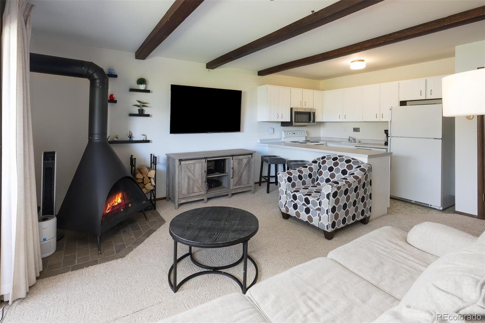 MLS Image #3 for 130  evergreen road,dillon, Colorado
