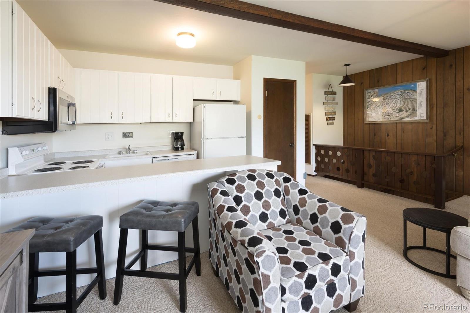MLS Image #7 for 130  evergreen road,dillon, Colorado