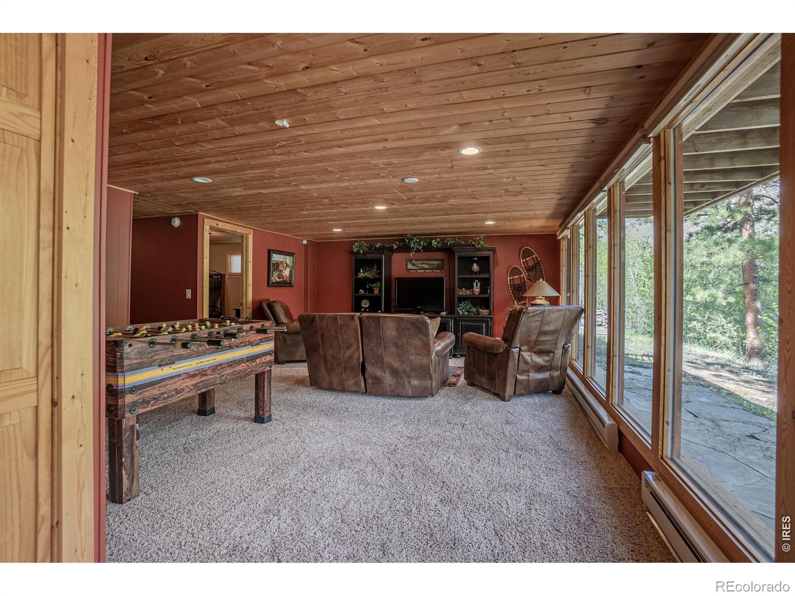 MLS Image #19 for 348  crown point drive,bellvue, Colorado