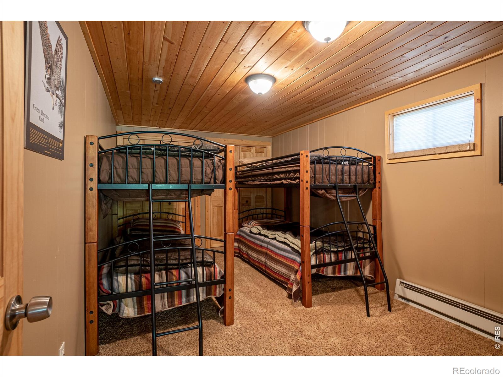 MLS Image #20 for 348  crown point drive,bellvue, Colorado