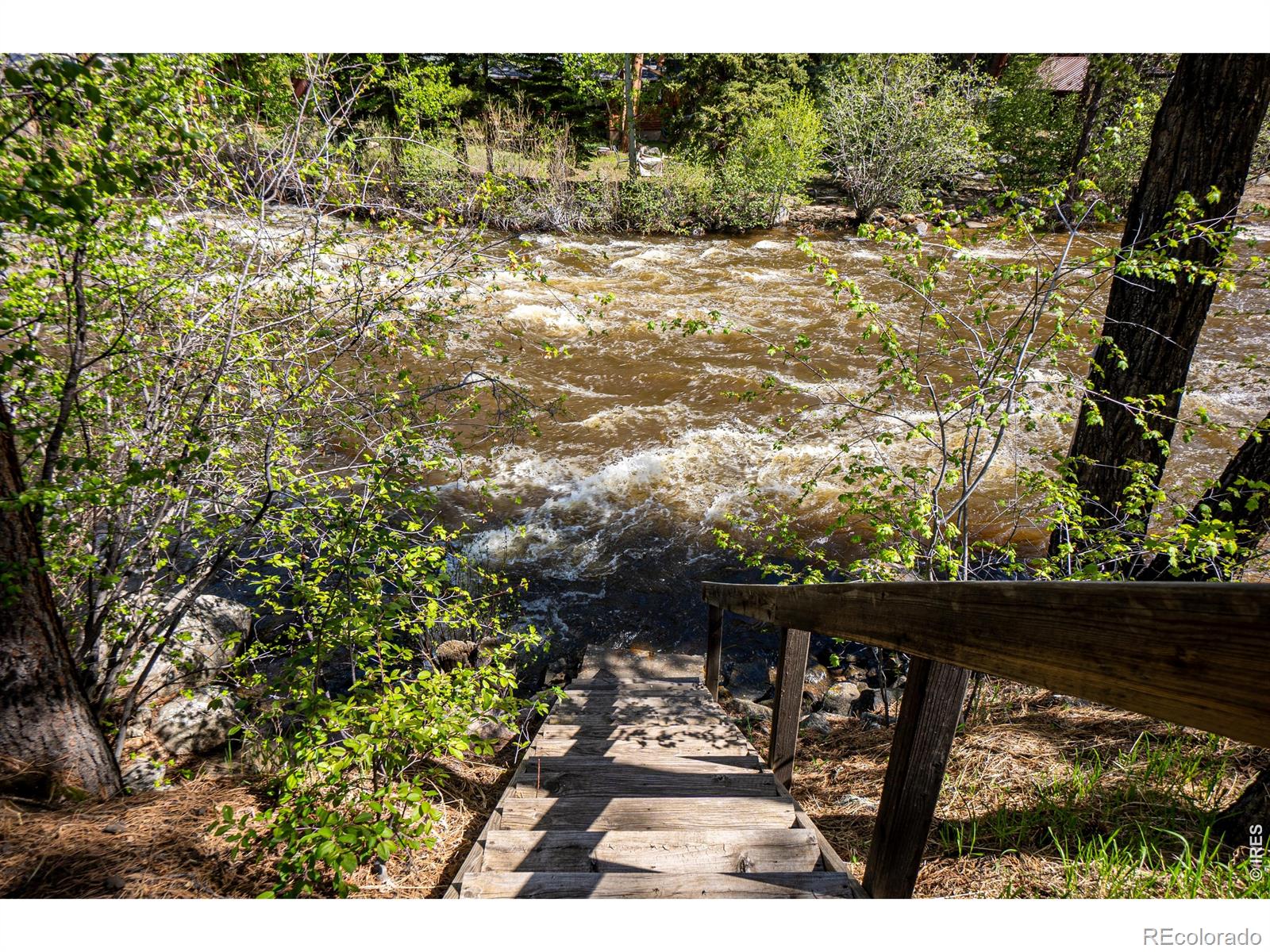 MLS Image #37 for 348  crown point drive,bellvue, Colorado