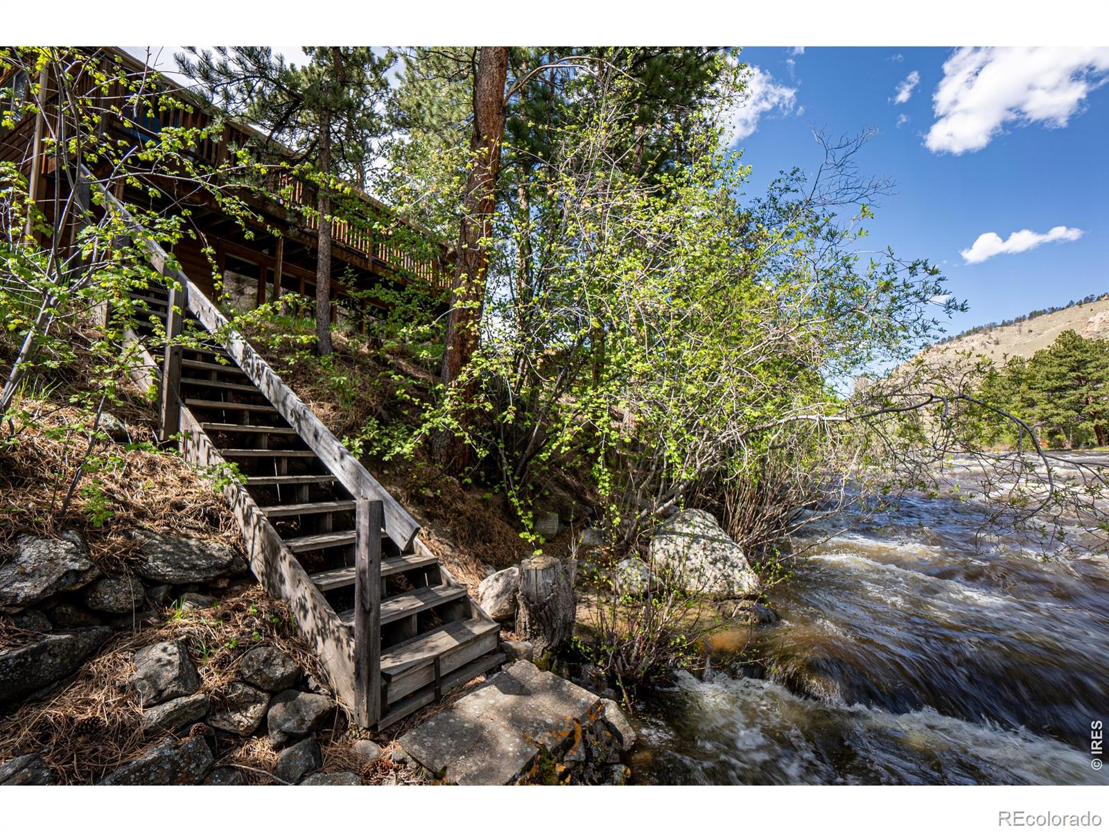 MLS Image #4 for 348  crown point drive,bellvue, Colorado