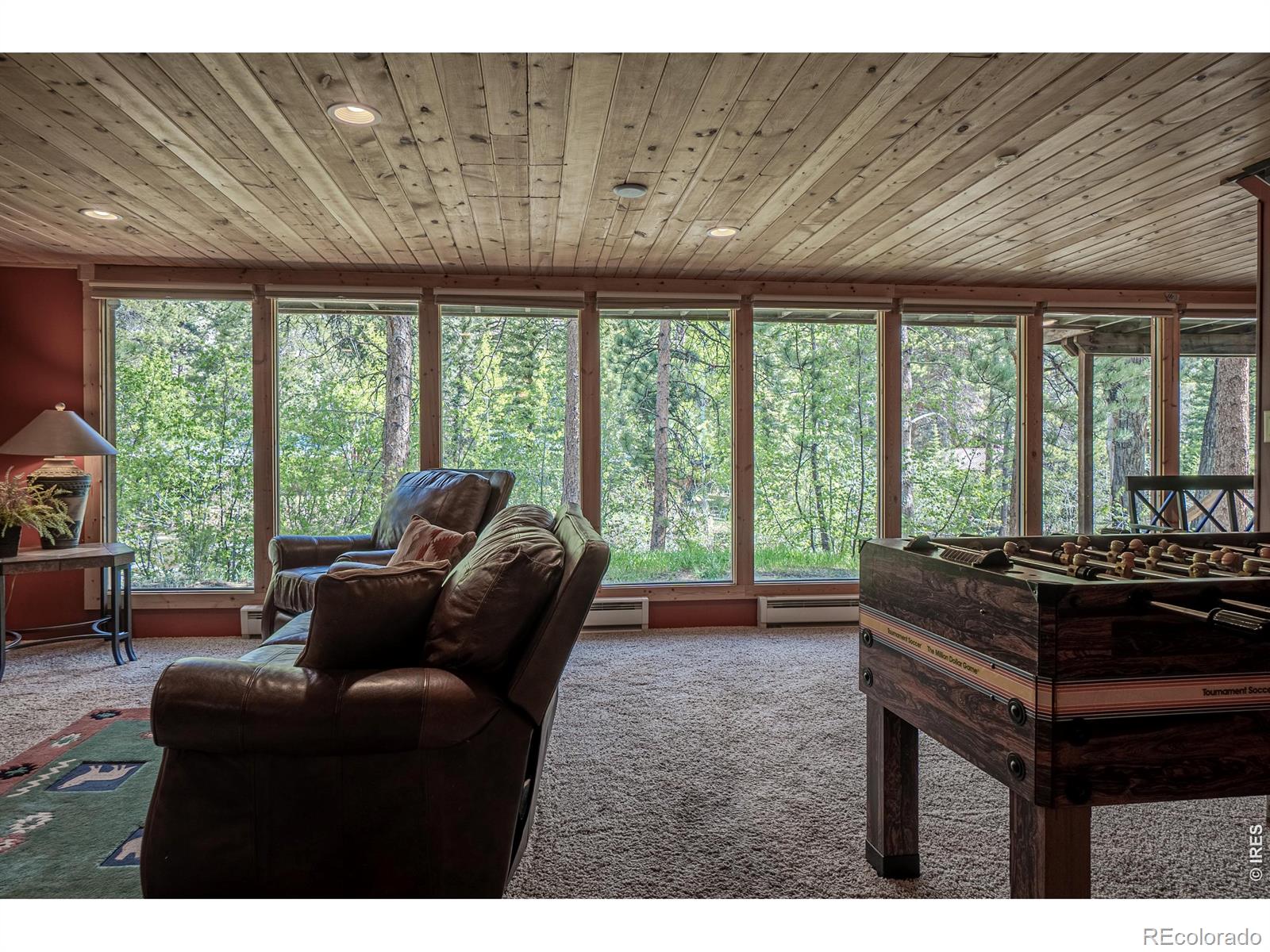 MLS Image #40 for 348  crown point drive,bellvue, Colorado