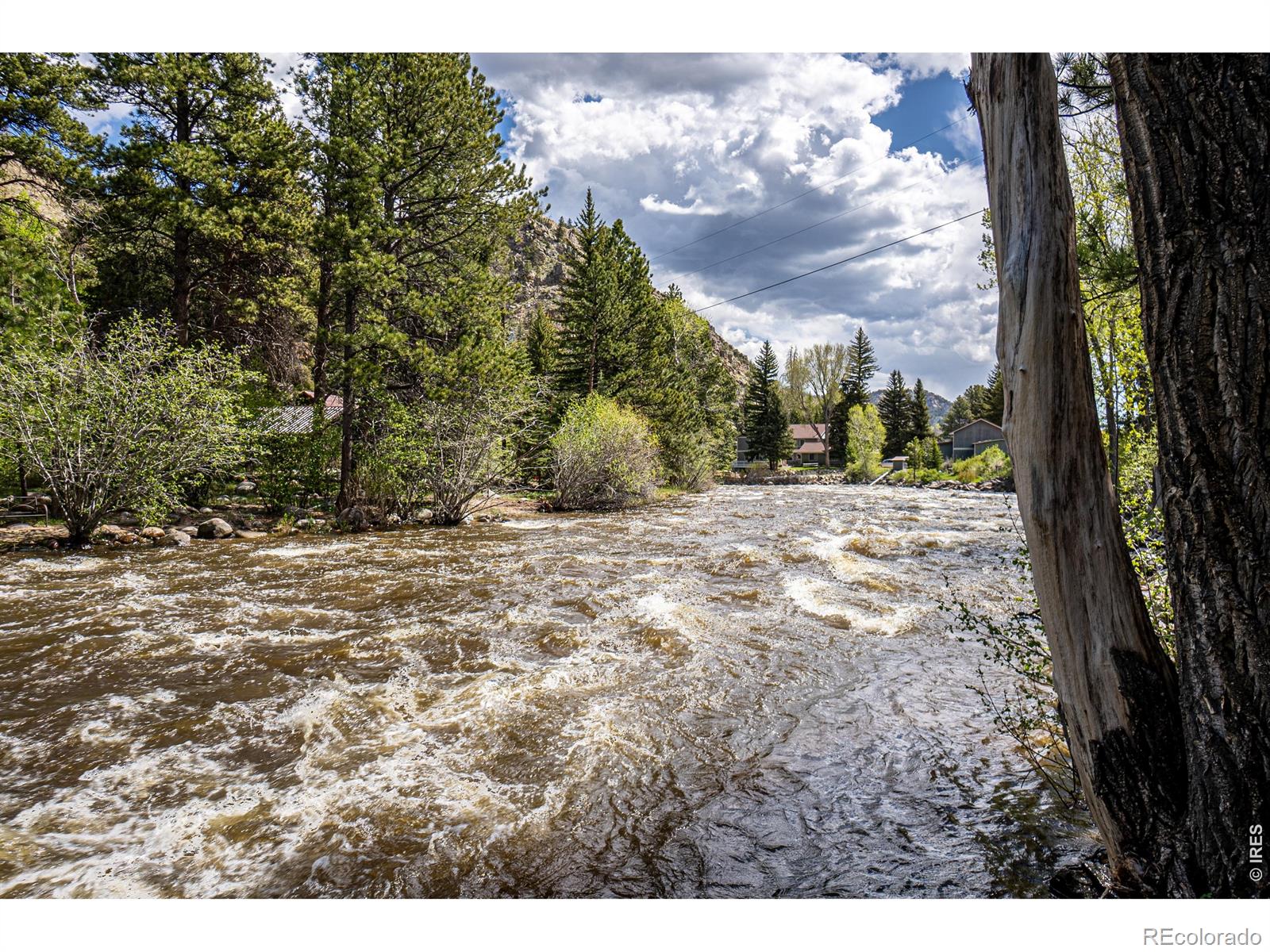 MLS Image #43 for 348  crown point drive,bellvue, Colorado
