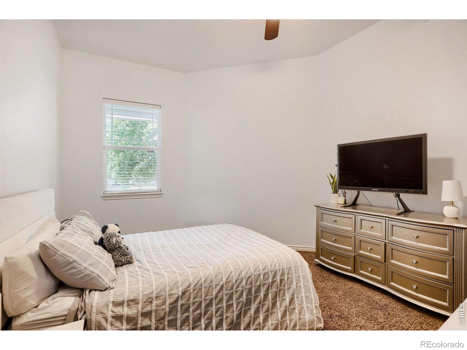 MLS Image #15 for 215  nelson street,erie, Colorado