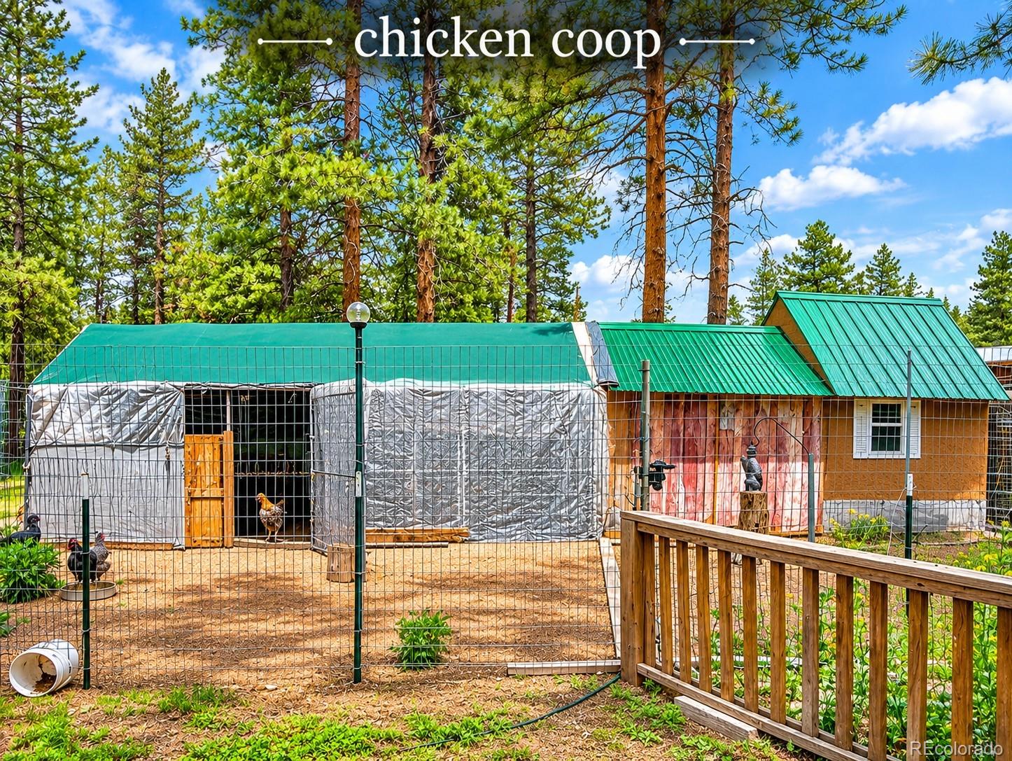MLS Image #43 for 27638  triple b road,woodland park, Colorado