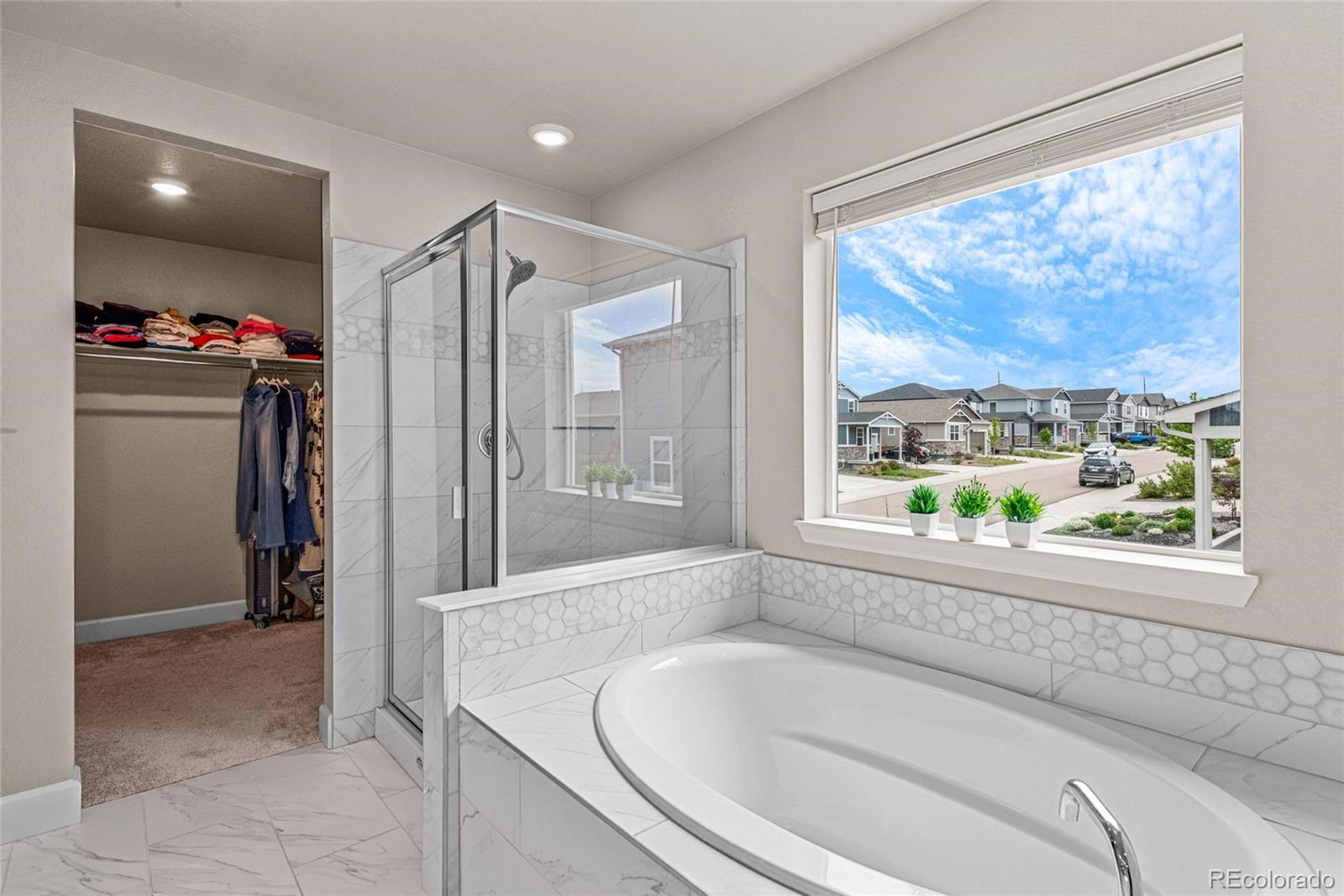 MLS Image #12 for 3860  sandy vista lane,castle rock, Colorado