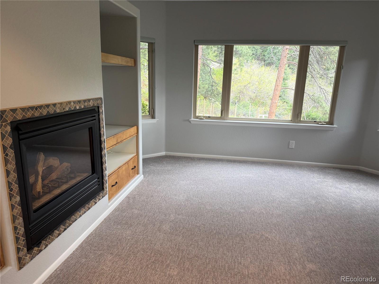 MLS Image #10 for 1030 e possee road,castle rock, Colorado