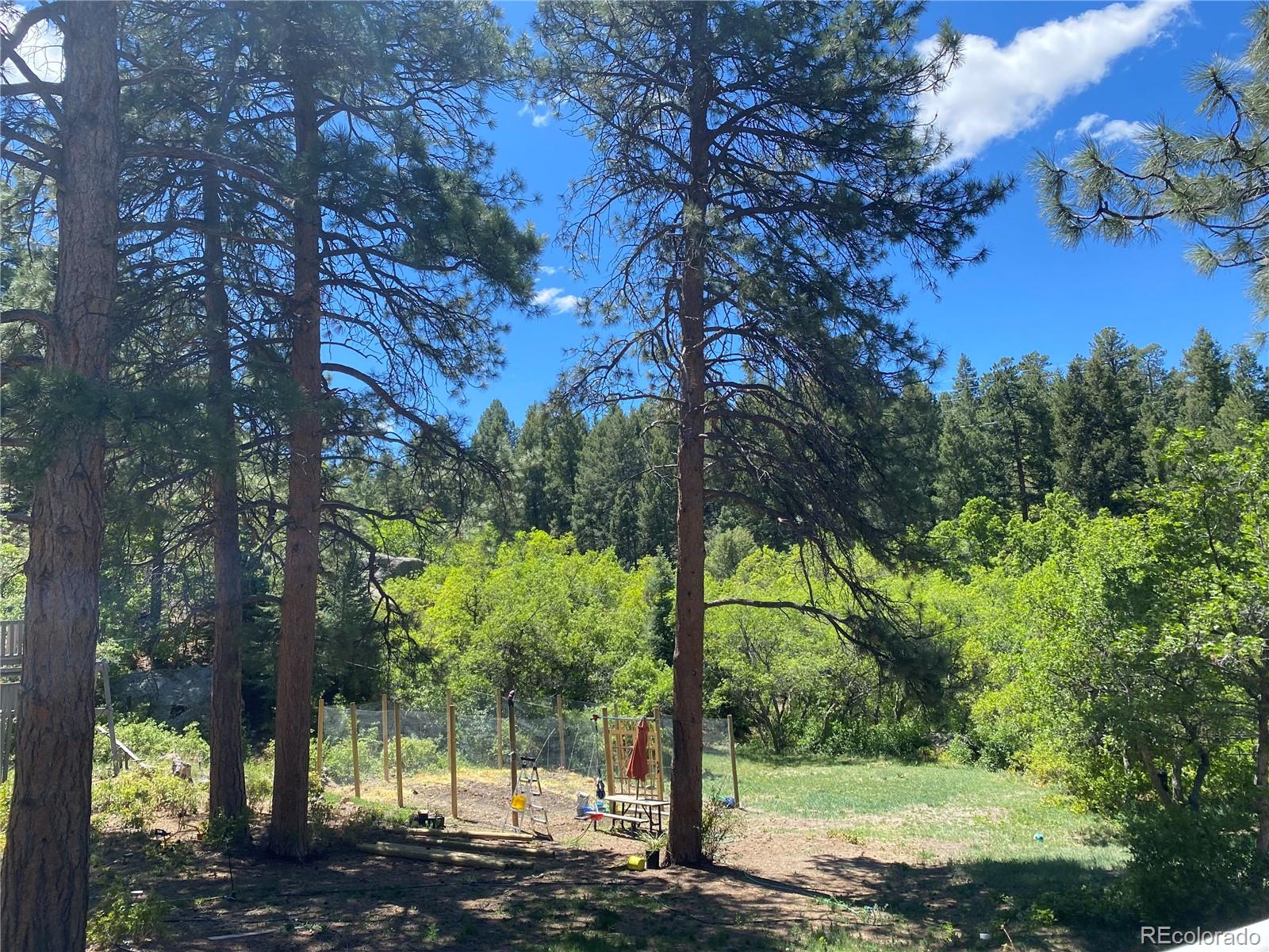MLS Image #22 for 1030 e possee road,castle rock, Colorado