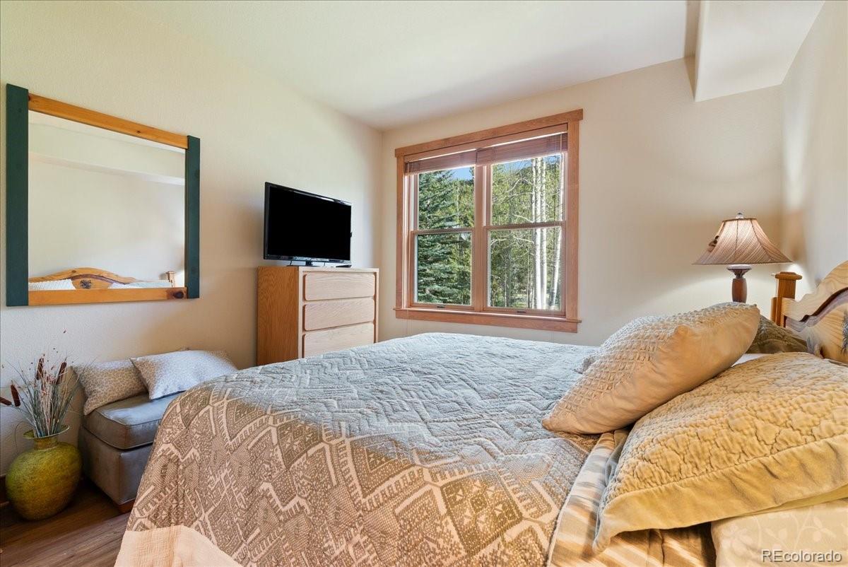 MLS Image #11 for 201  hawk circle,dillon, Colorado
