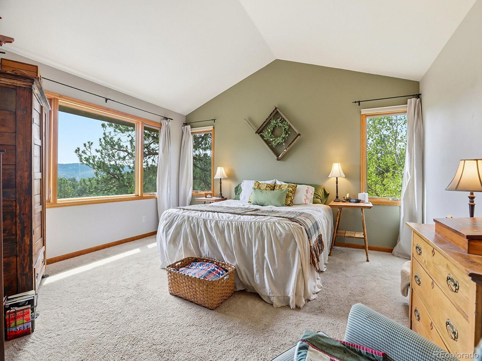 MLS Image #19 for 13532  douglass ranch drive,pine, Colorado