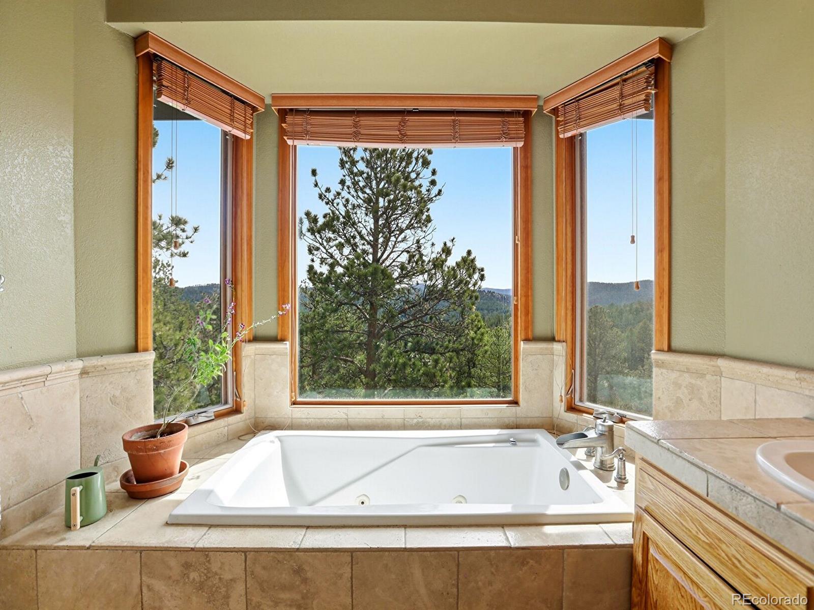 MLS Image #22 for 13532  douglass ranch drive,pine, Colorado