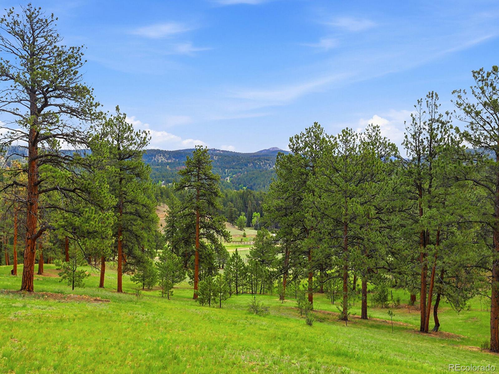 MLS Image #38 for 13532  douglass ranch drive,pine, Colorado