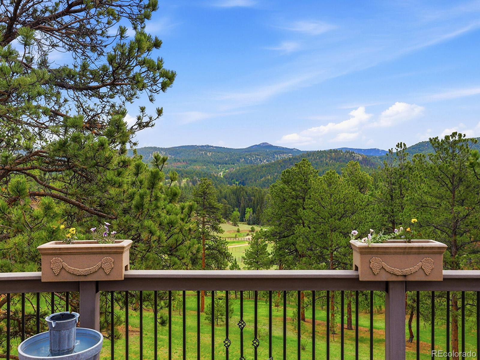 MLS Image #40 for 13532  douglass ranch drive,pine, Colorado