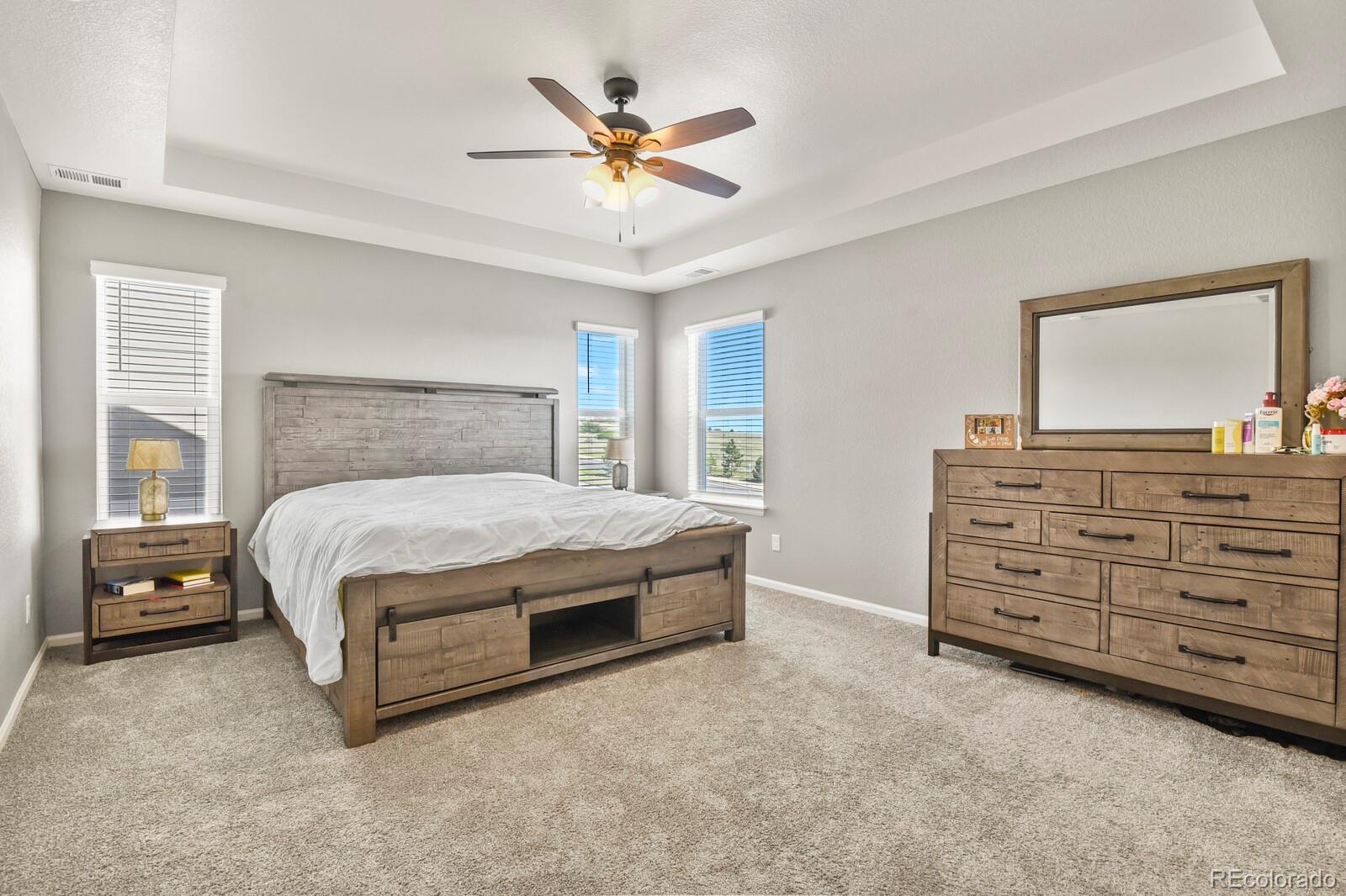 MLS Image #20 for 3625  makley circle,castle rock, Colorado