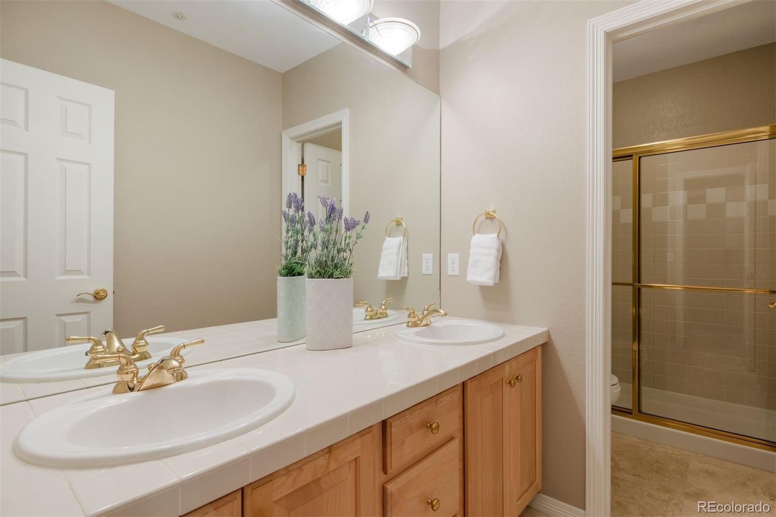 MLS Image #28 for 3208  country club parkway,castle rock, Colorado