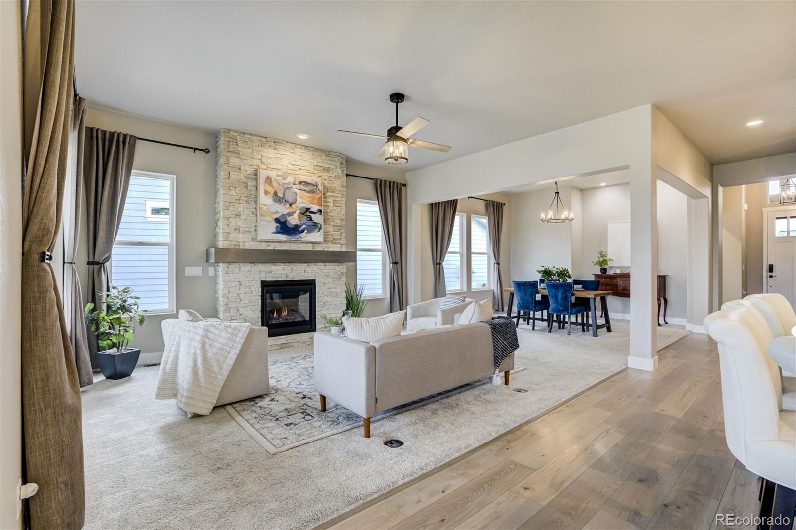 MLS Image #4 for 9089  braemore heights,colorado springs, Colorado