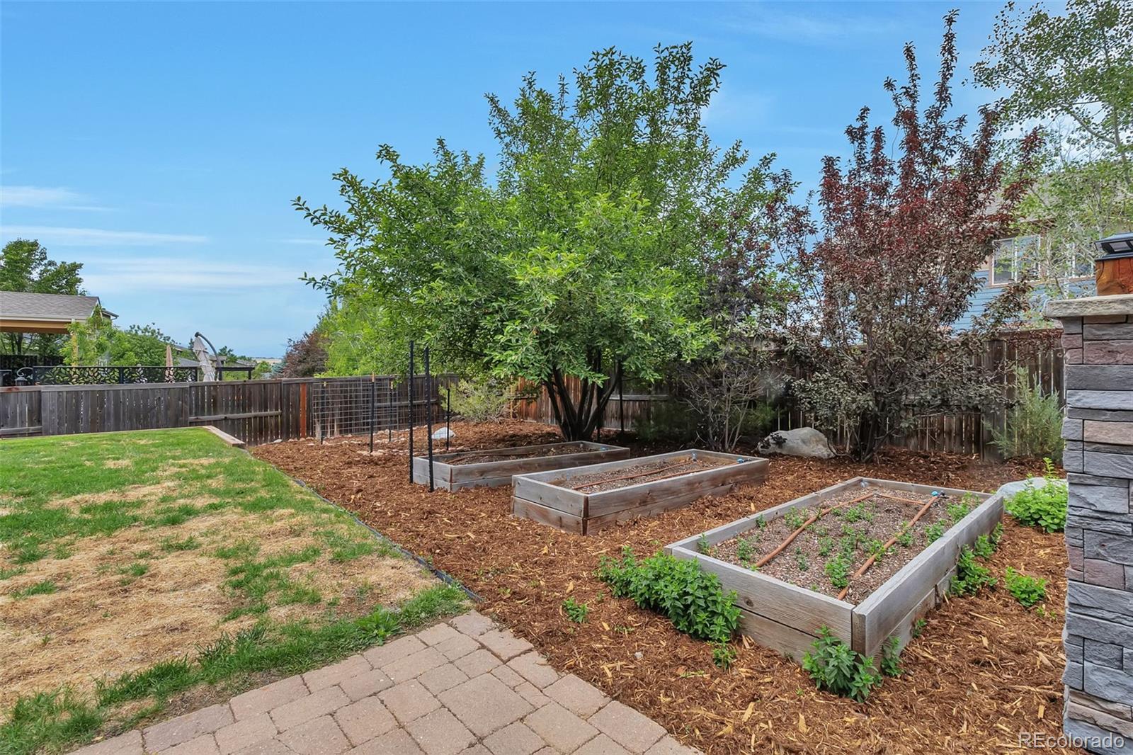 MLS Image #32 for 1281  single tree lane,erie, Colorado