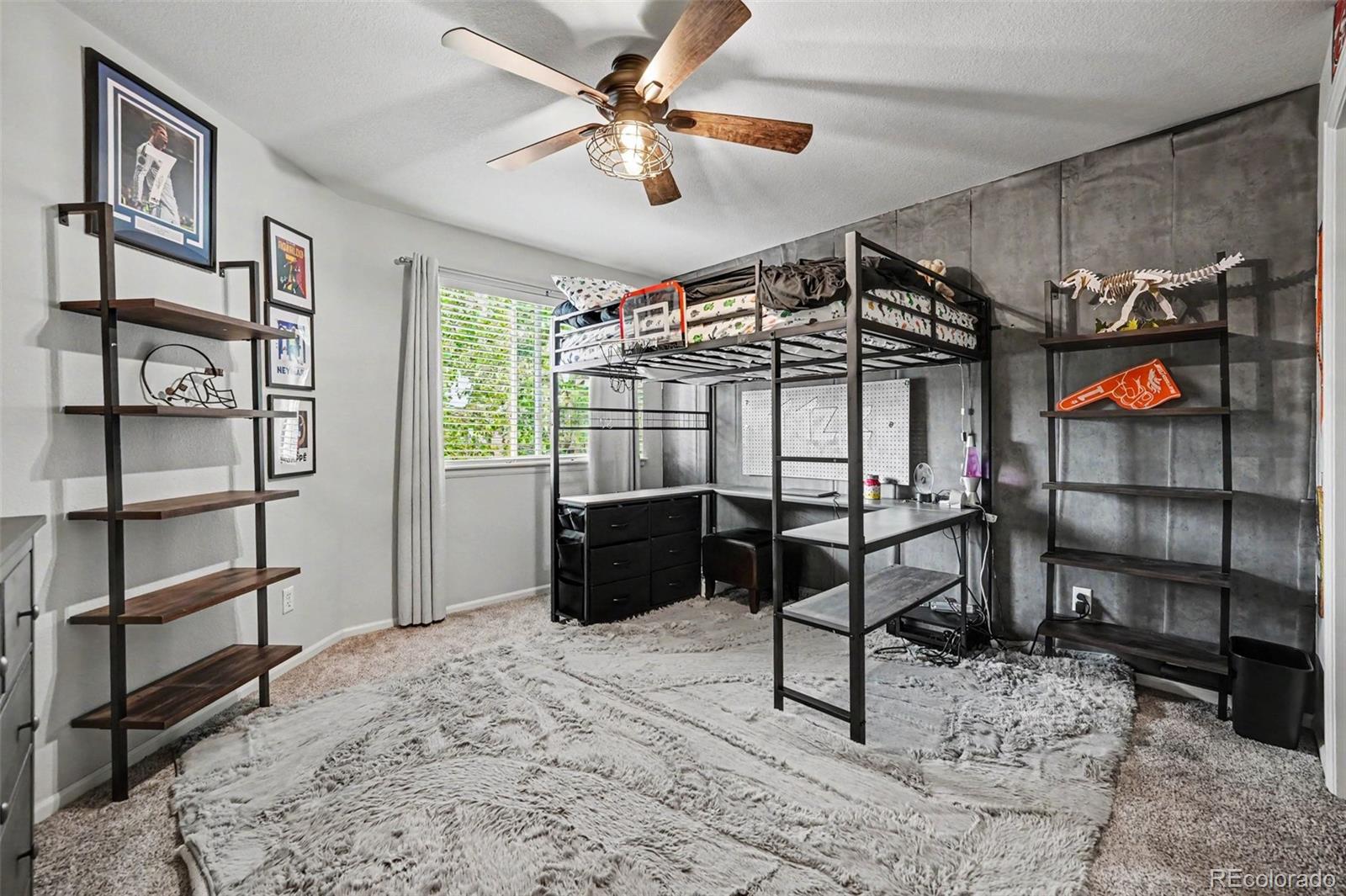 MLS Image #25 for 2553  baneberry way,highlands ranch, Colorado