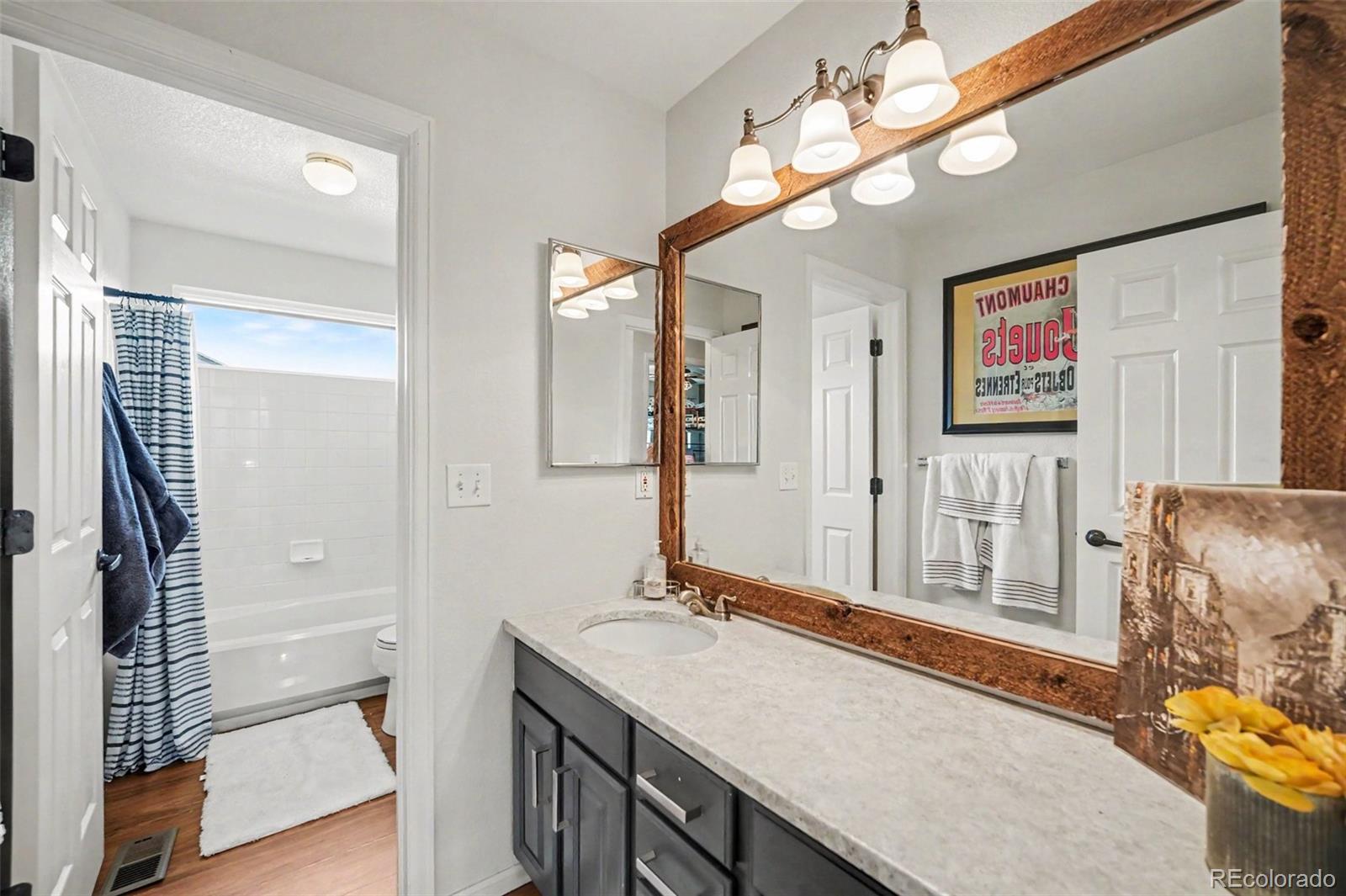MLS Image #26 for 2553  baneberry way,highlands ranch, Colorado