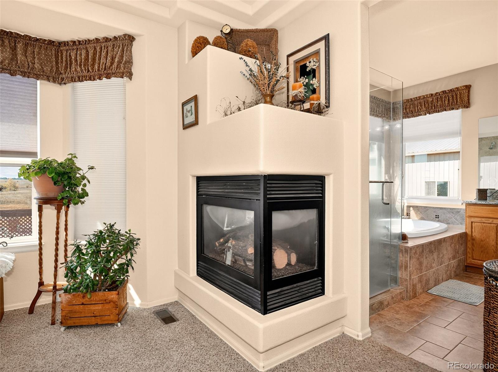 MLS Image #21 for 13320  bent spur trail,elbert, Colorado