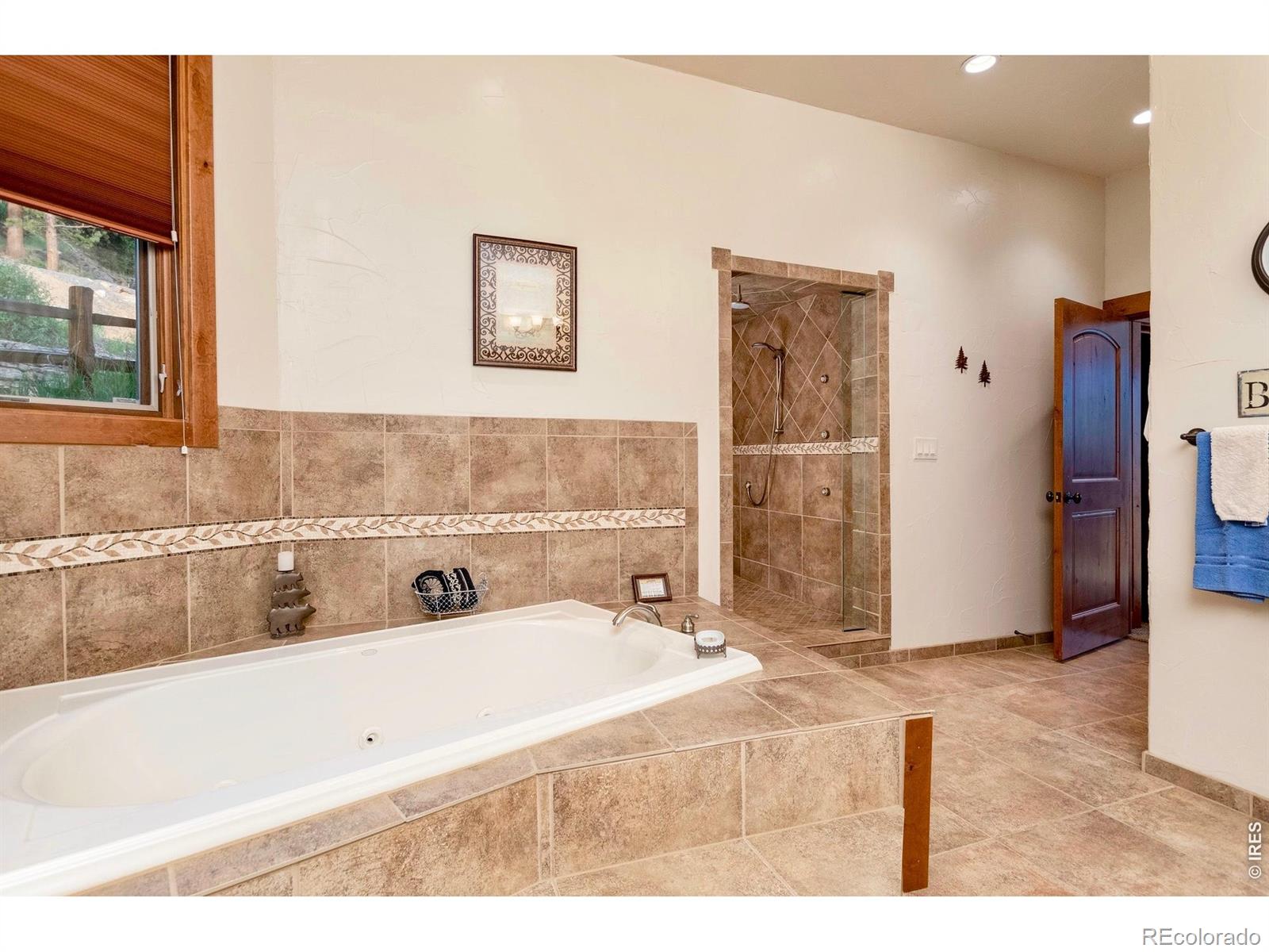 MLS Image #16 for 1471  jungfrau trail,estes park, Colorado