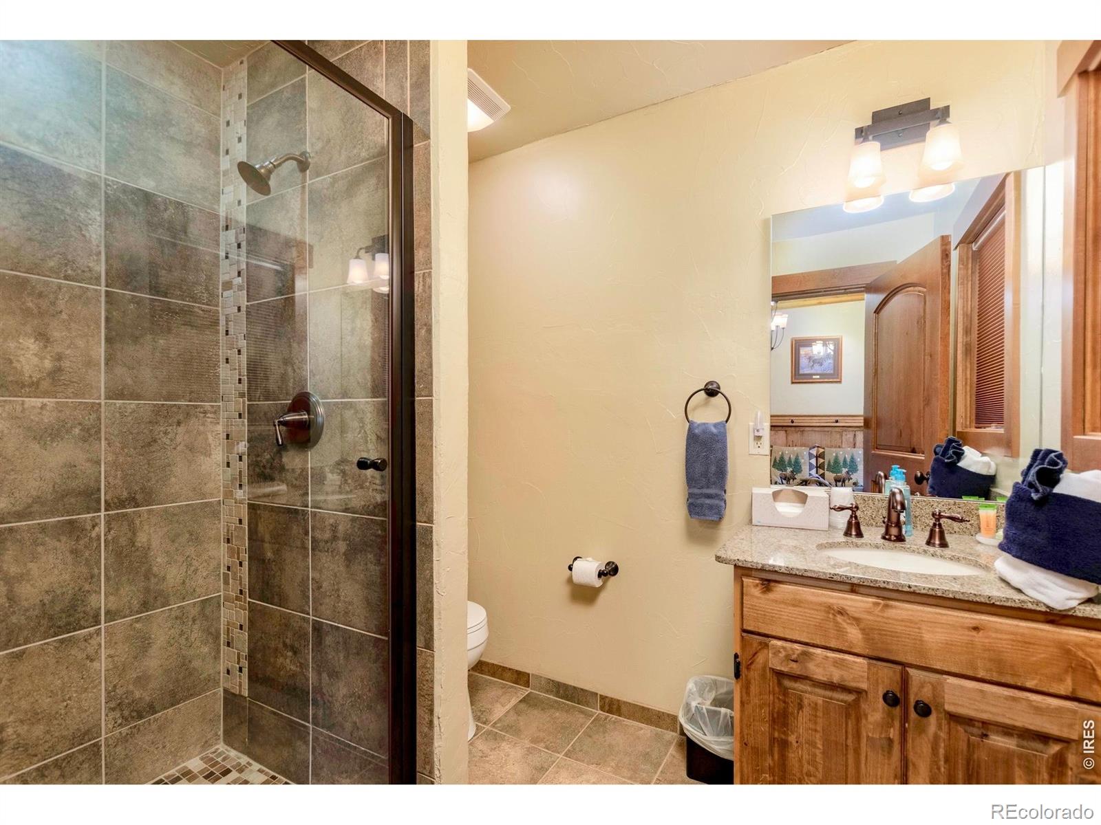 MLS Image #22 for 1471  jungfrau trail,estes park, Colorado