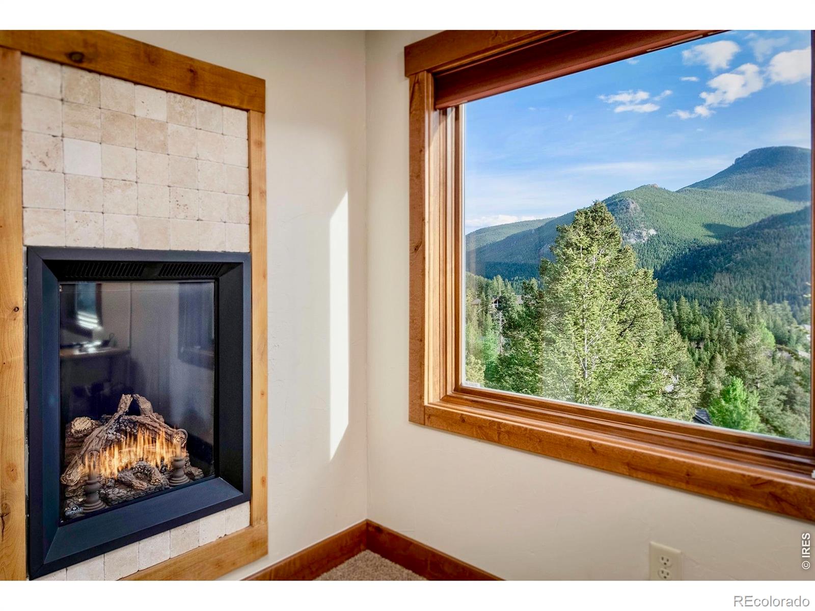 MLS Image #28 for 1471  jungfrau trail,estes park, Colorado