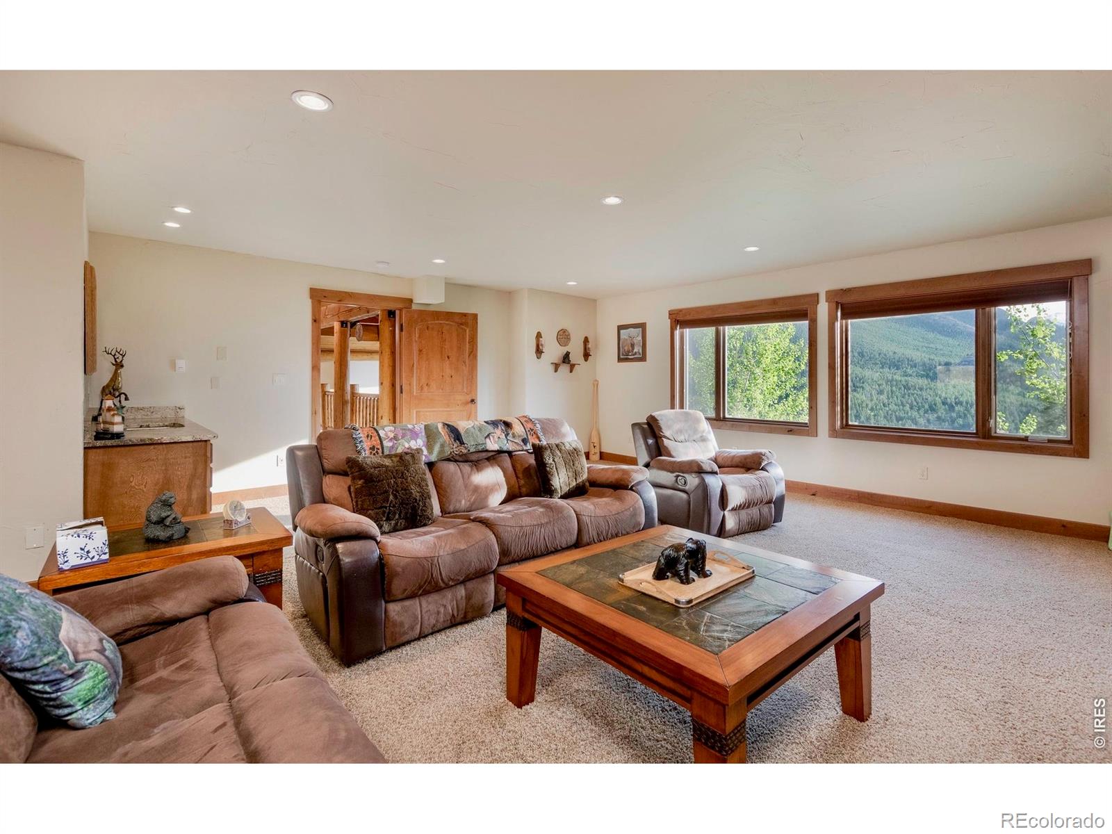 MLS Image #32 for 1471  jungfrau trail,estes park, Colorado