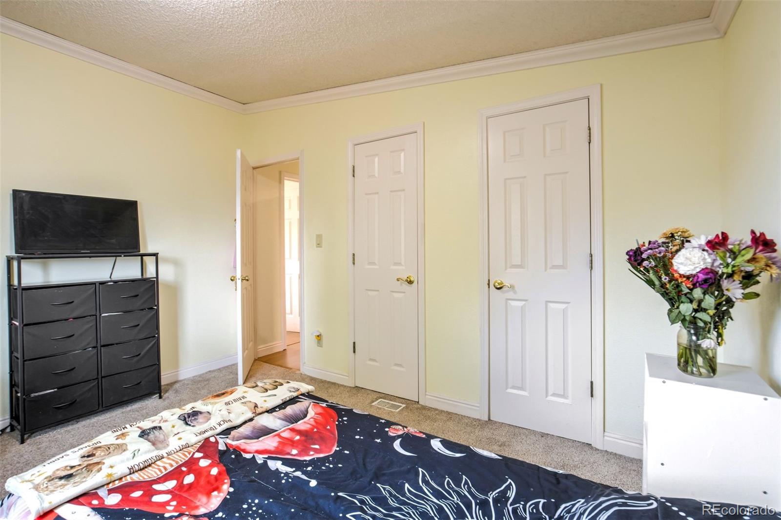 MLS Image #25 for 398  f avenue,limon, Colorado
