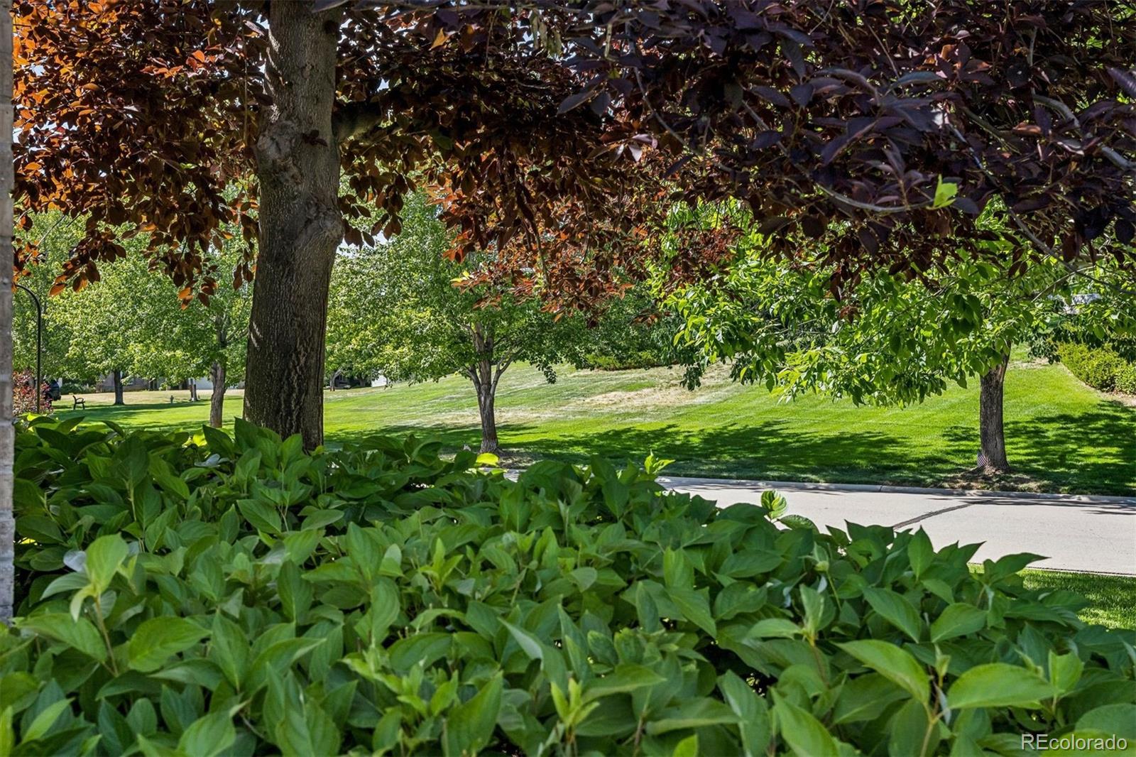 MLS Image #1 for 46  golden eagle road,greenwood village, Colorado