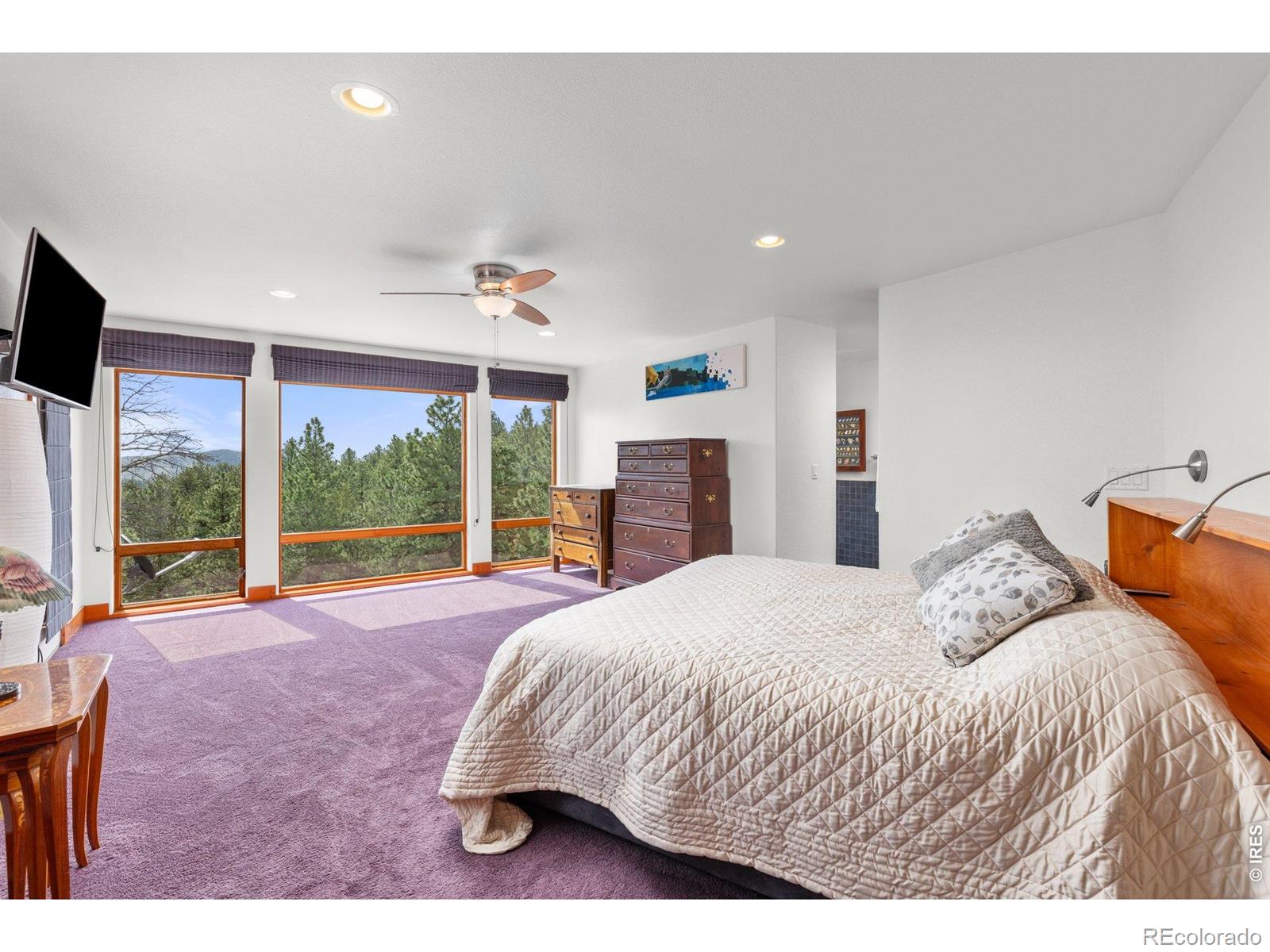 MLS Image #18 for 729  sawmill road,loveland, Colorado