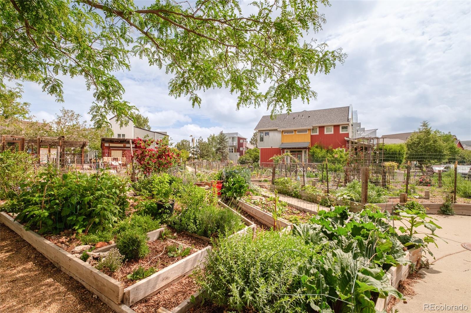 MLS Image #39 for 1617  yellow pine avenue,boulder, Colorado