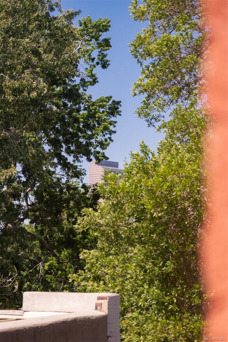 MLS Image #38 for 2536 n gilpin street,denver, Colorado