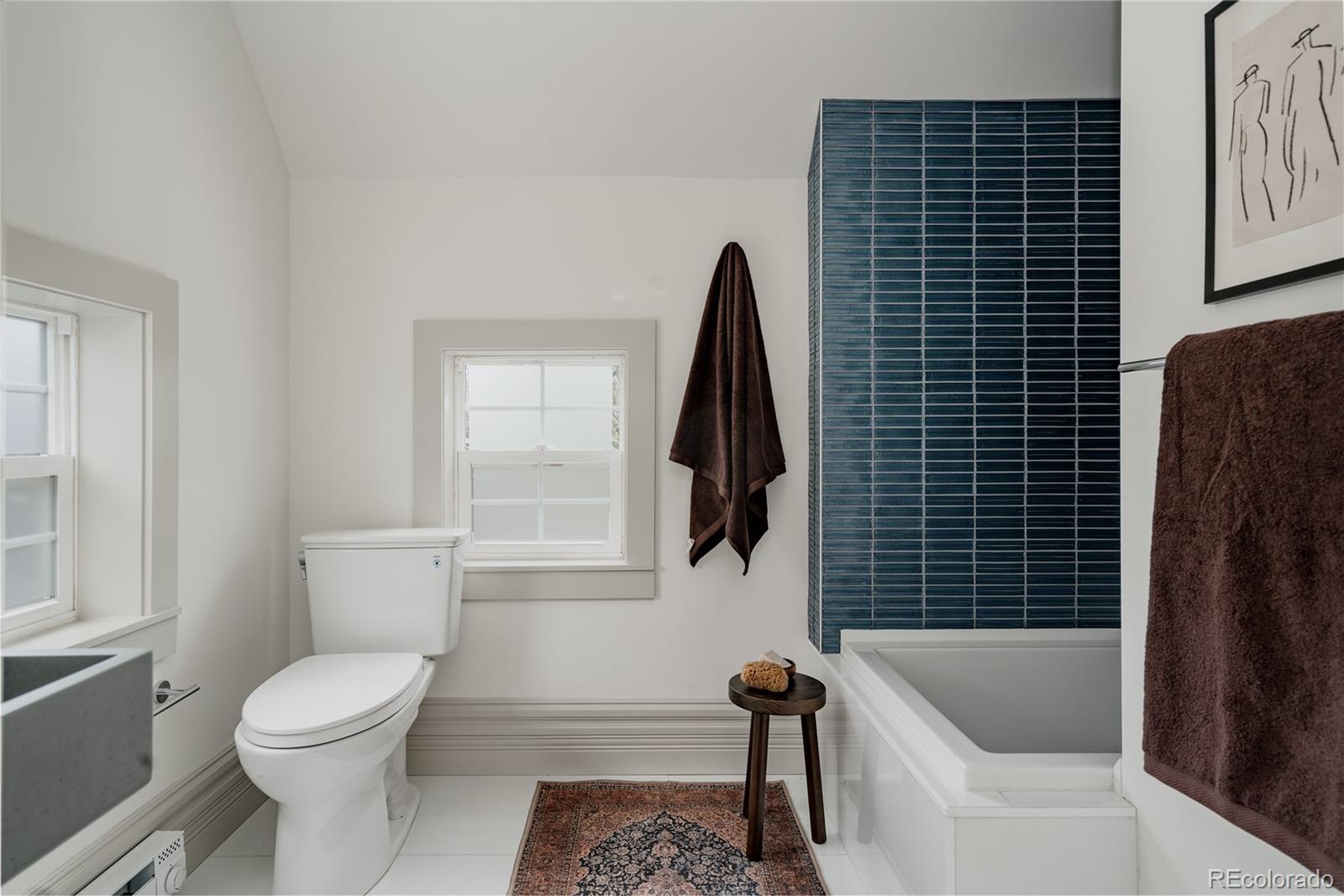 MLS Image #29 for 2339 n emerson street,denver, Colorado