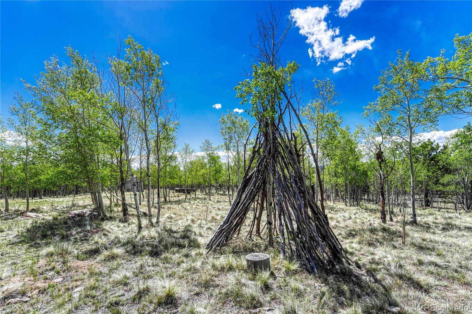 MLS Image #31 for 74  noxibee court,jefferson, Colorado