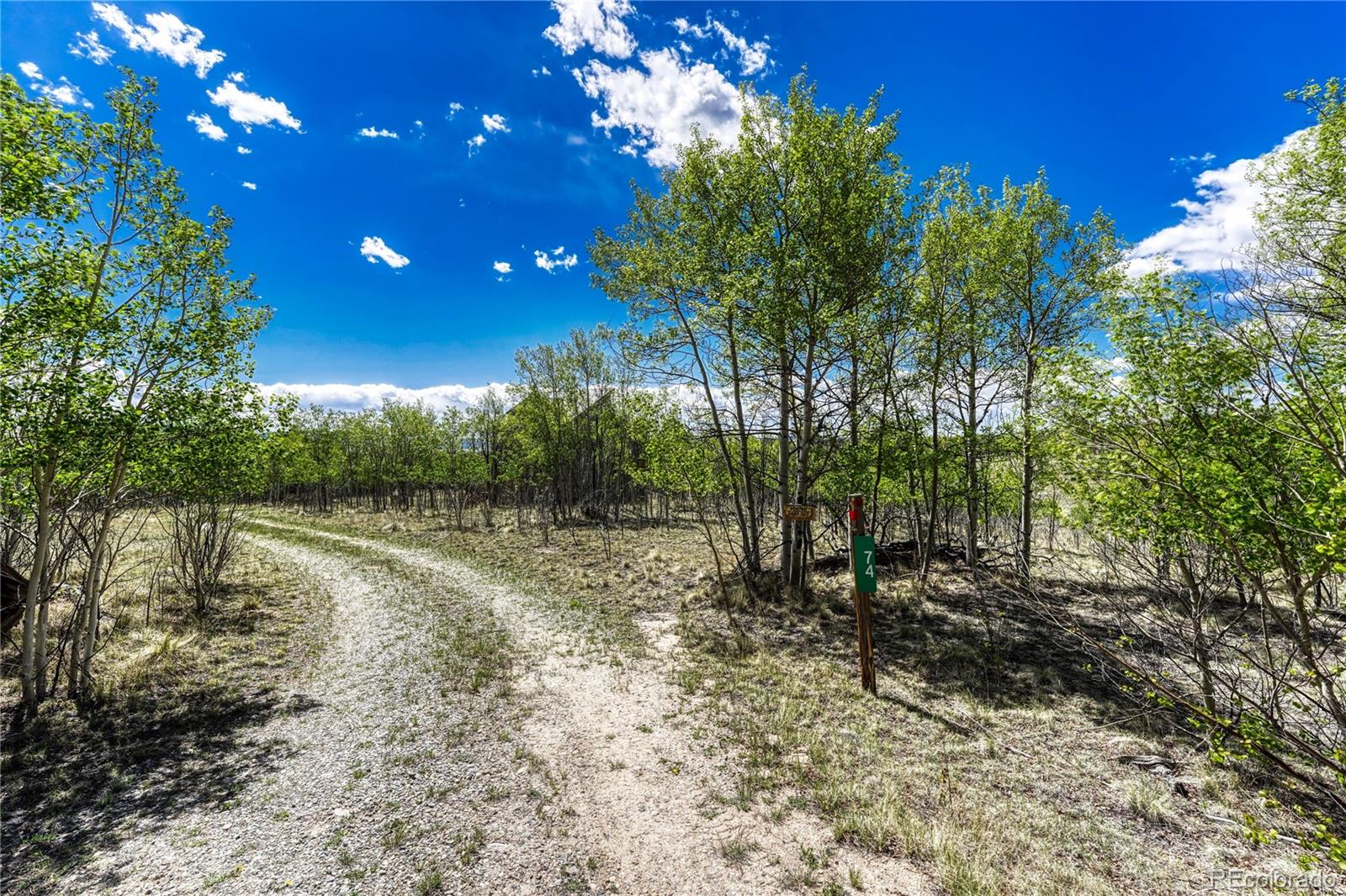 MLS Image #33 for 74  noxibee court,jefferson, Colorado