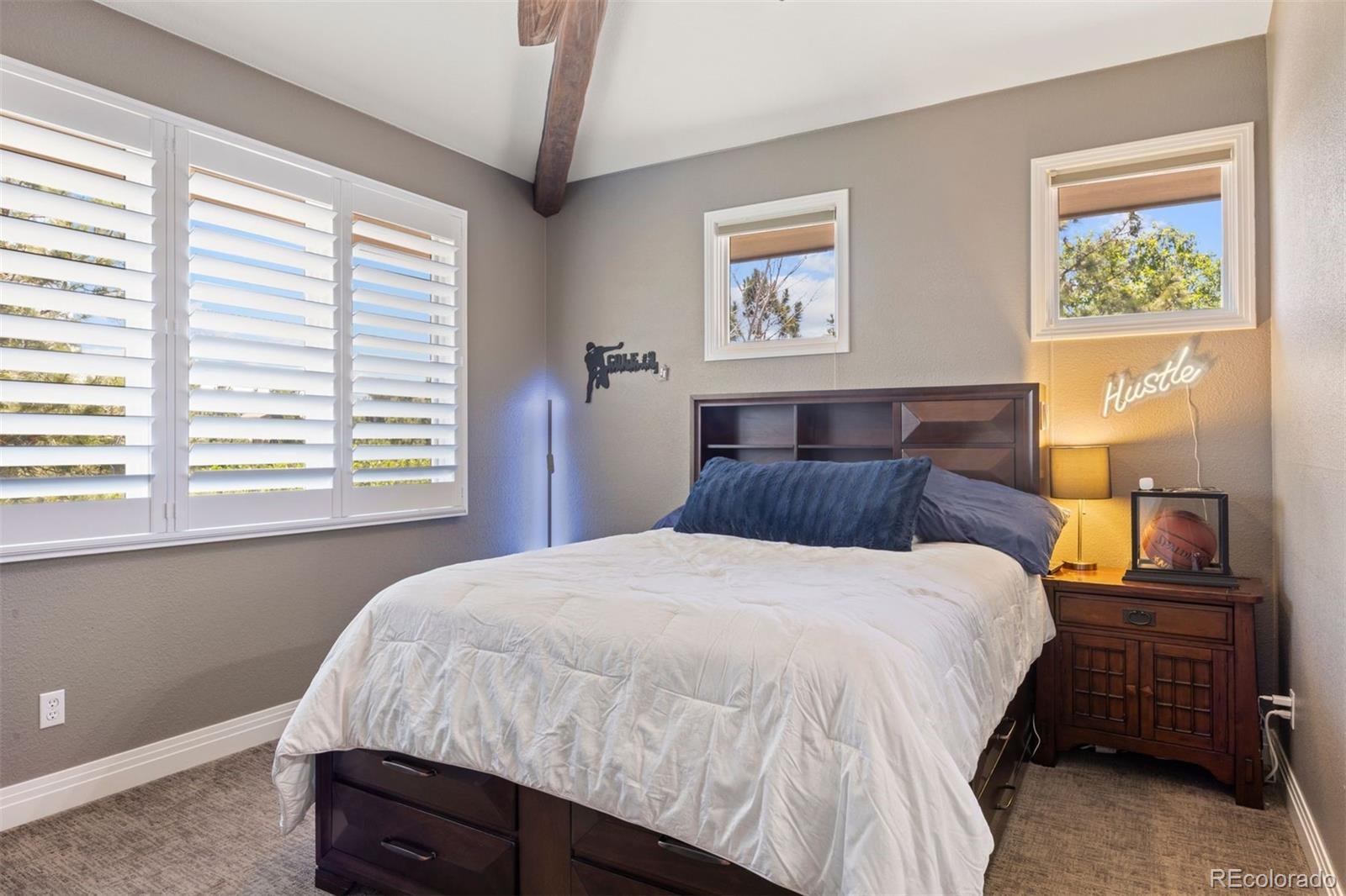 MLS Image #38 for 10  castle pines drive,castle rock, Colorado