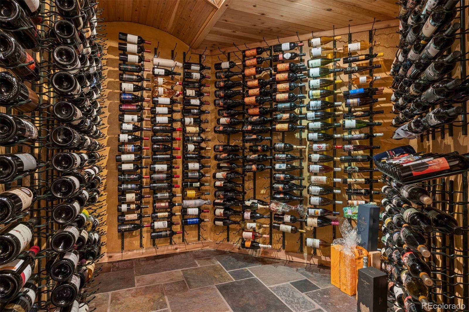 MLS Image #46 for 10  castle pines drive,castle rock, Colorado