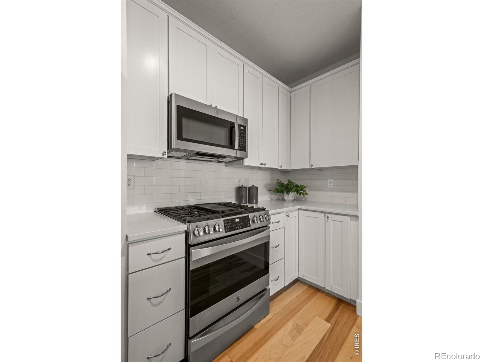 MLS Image #16 for 747  robert street,longmont, Colorado