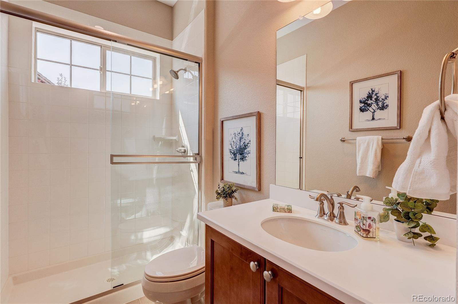 MLS Image #10 for 10642  winding pine point,highlands ranch, Colorado