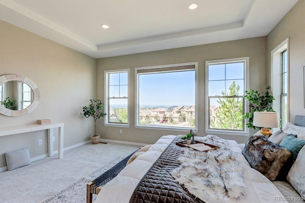 MLS Image #15 for 10642  winding pine point,highlands ranch, Colorado