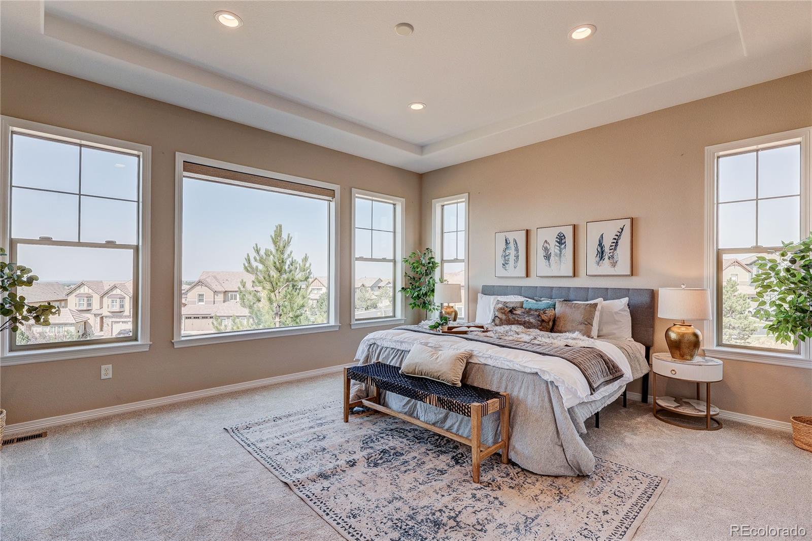 MLS Image #18 for 10642  winding pine point,highlands ranch, Colorado