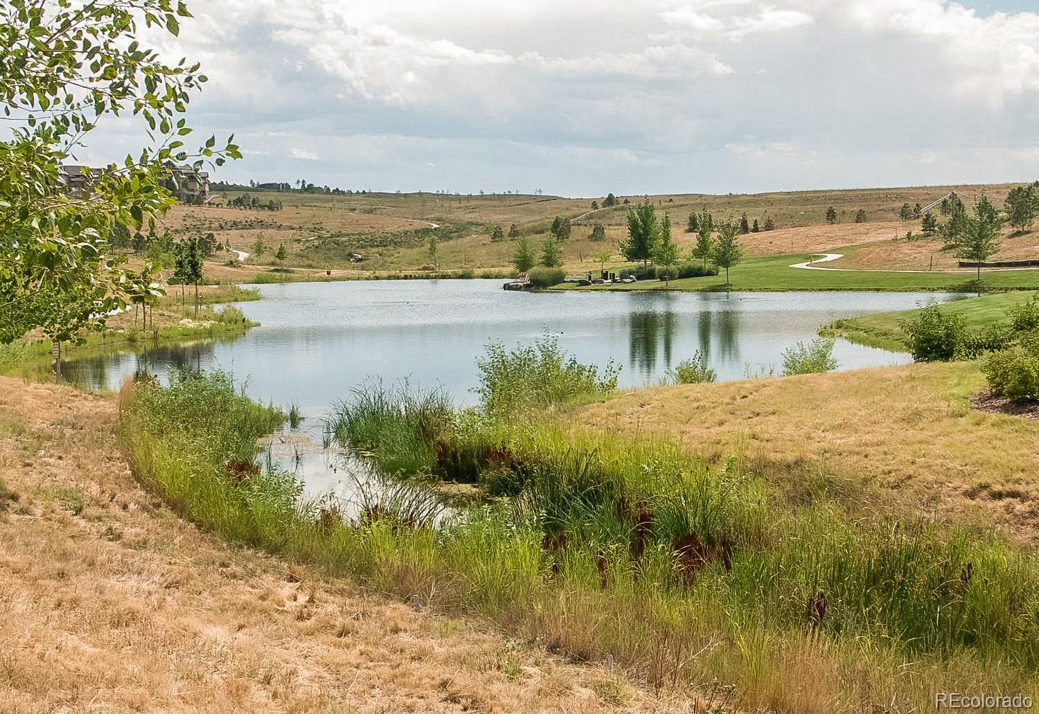 MLS Image #45 for 10642  winding pine point,highlands ranch, Colorado