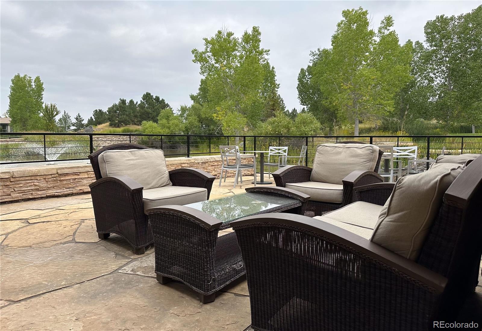 MLS Image #48 for 10642  winding pine point,highlands ranch, Colorado