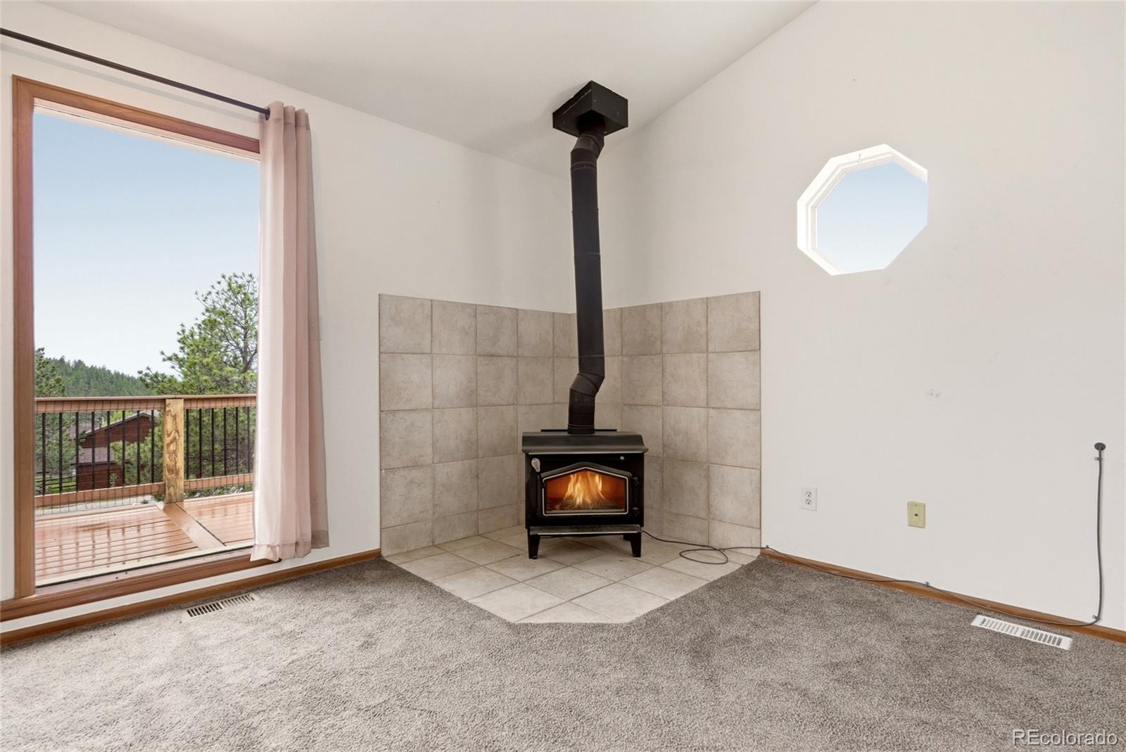 MLS Image #10 for 73  sunlight lane,bailey, Colorado